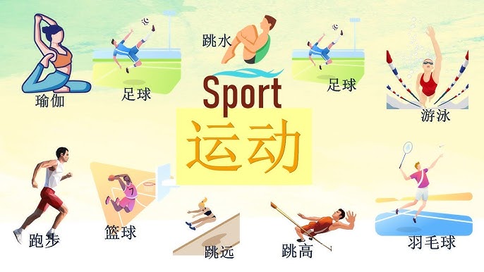 晰与轮换压