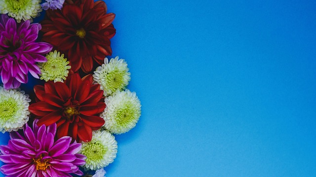 的惨淡出局 的惨淡出局