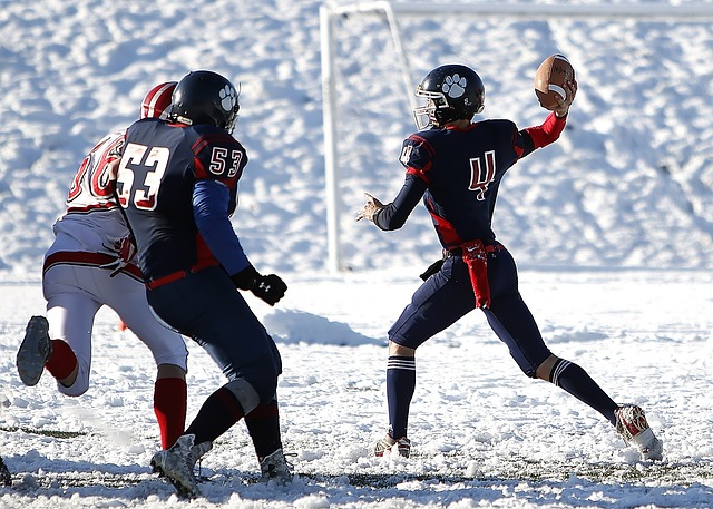 独行侠与国 独行侠与国