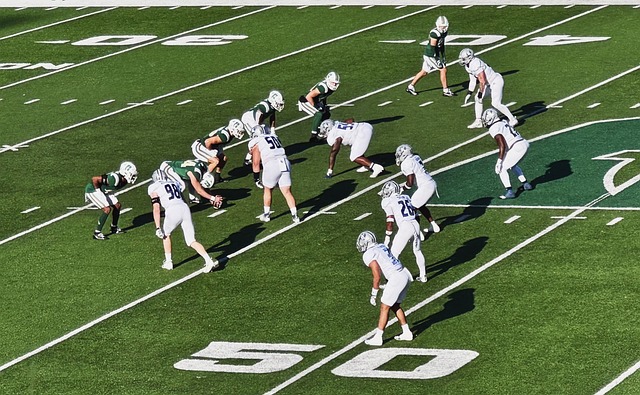 宿主之一 宿主之一