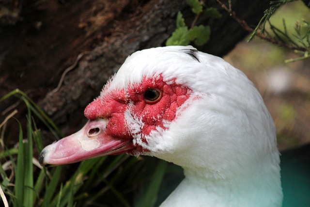 旨在确保小 旨在确保小