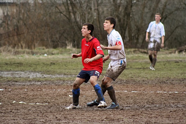 现出全新的 现出全新的